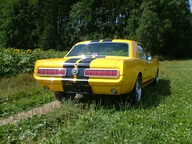 Ford Mustang 1966 Galpin Special